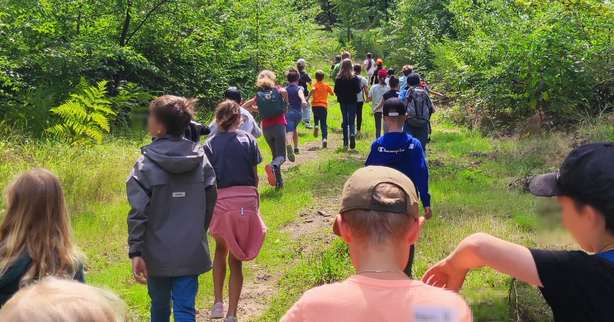 Kinderferienprogramm in Reilingen - 2025: Die Linke KV Rhein-Hardt